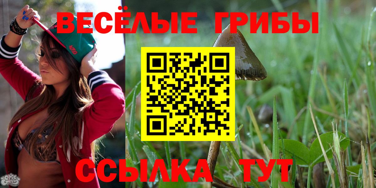 Галлюциногенные грибы ЛСД  Вход с VPN  Псилоцибиновые грибы Psilocybe  Вышний Волочёк 